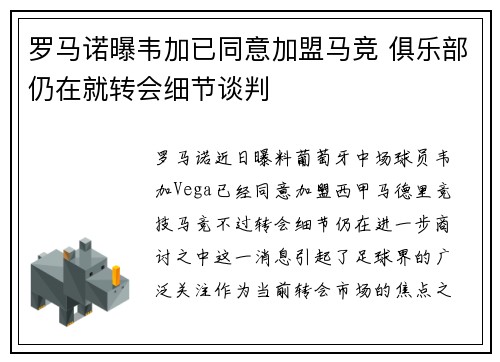 罗马诺曝韦加已同意加盟马竞 俱乐部仍在就转会细节谈判